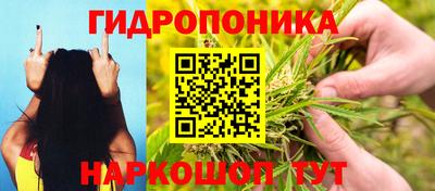 spice Малоярославец