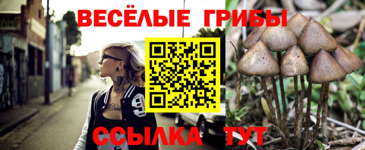 Владикавказ  Псилоцибиновые грибы мухоморы  Вход с VPN 